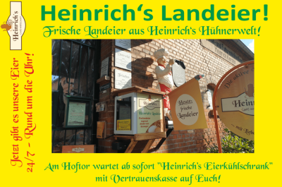 frische Landeier aus Heinrich's Hühnerwelt 